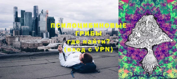 гашик Новодвинск