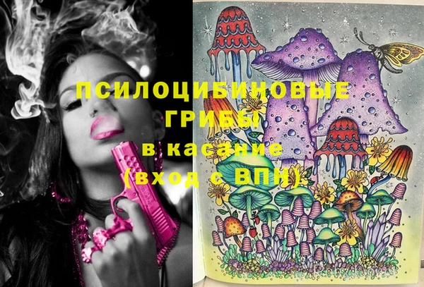 марки nbome Белокуриха